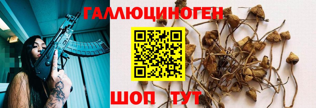 Галлюциногенные грибы ЛСД Асино