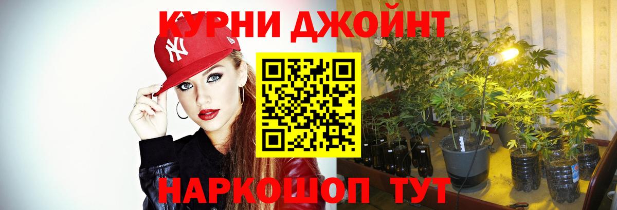 Конопля планчик  Конопля OG Kush  Конопля семена  Асино  Вход с VPN 